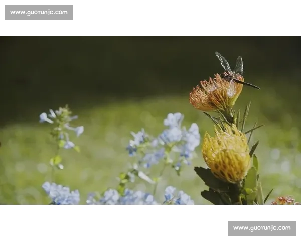 风格焕新，心境重启：解锁生活的多维可能